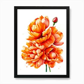 Orange Peony Flowers Art Print