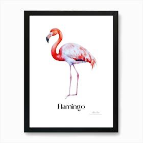 Flamingo. Long, thin legs. Pink or bright red color. Black feathers on the tips of its wings.8 Art Print