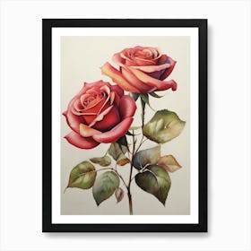 Beautiful Two Roses Botanical Art Print