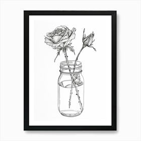 English Rose In A Jar Line Drawing 2 Art Print