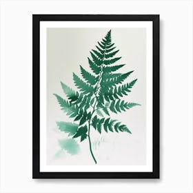 Green Ink Painting Of A Soft Shield Fern 2 Art Print