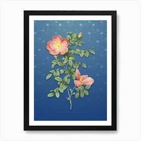 Vintage Red Sweetbriar Rose Botanical on Bahama Blue Pattern n.0158 Art Print