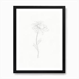 Daisy Pencil Drawing 2 Art Print