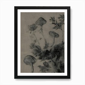 Chinese Mushrooms Art Print