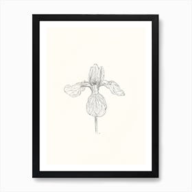 Iris Ink Drawing Art Print