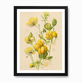 Yellow Flowers Farmhouse Botanical Art Print