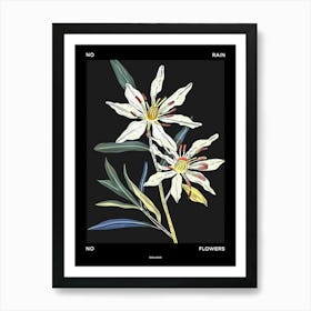 No Rain No Flowers Poster Edelweiss 4 Art Print