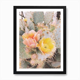 Prickly Pear Flowers Ii Art Print