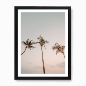 Palm Tree Sunset Art Print