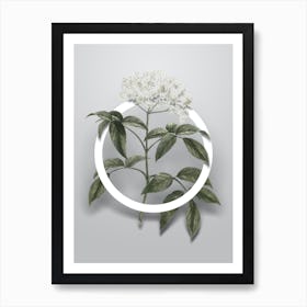 Vintage Elderberry Flowering Plant Minimalist Botanical Geometric Circle on Soft Gray n.0242 Art Print