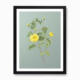 Vintage Yellow Sweetbriar Rose Botanical Art on Mint Green n.0791 Art Print