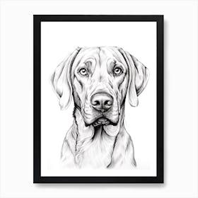 Rhodesian Ridgeback Dog, Line Drawing 1 Art Print