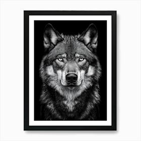 Portrait Of A Wolf Art Print