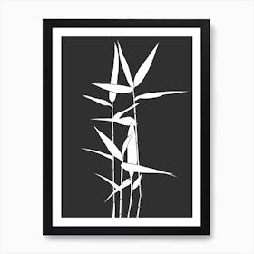 Bamboo Art Print