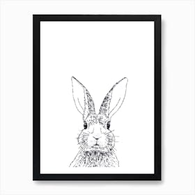 Rabbit Drawing Art Print