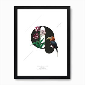 Botanical  Alphabet Q Art Print