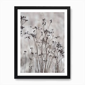 Flower Buds In The Beige Greige Golden Field 2 Art Print