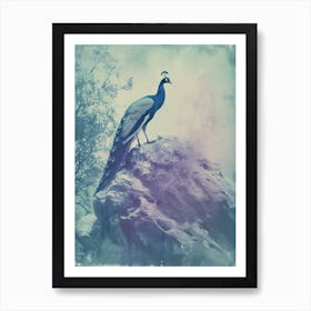 Vintage Turquoise Peacock On A Rock Photography Style 1 Art Print