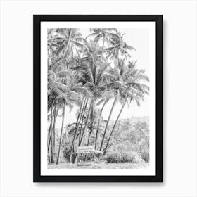 Black And White Photograph Of Palm Trees Art Print
