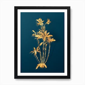 Vintage Lily of the Incas Botanical in Gold on Teal Blue n.0167 Art Print