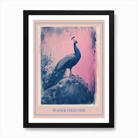 Blue & Pink Peacock Portrait 3 Poster Art Print