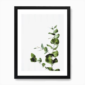 Elegant Green Plant Art Print