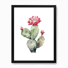 Devils Tongue Cactus Watercolour Drawing 2 Art Print