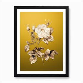 Gold Botanical White Rose of York on Mango Yellow n.3107 Art Print