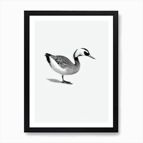 Grebe B&W Pencil Drawing 2 Bird Art Print