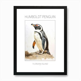 Humboldt Penguin Floreana Island Watercolour Painting 1 Poster Art Print