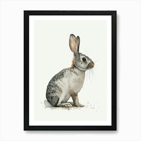 Polish Rex Rabbit Nursery Illustration 1 Art Print