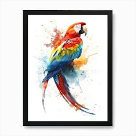 Colorful Parrot Art Print