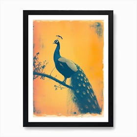 Orange & Blue Peacock Cyanotype Inspired 4 Art Print