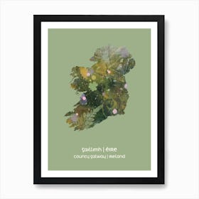 EIRE IN BLOOM COUNTY GALWAY Art Print