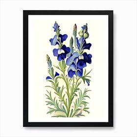 Larkspur Floral 1 Botanical Vintage Poster Flower Art Print