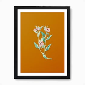 Vintage Long Branched Enothera Botanical on Sunset Orange n.0878 Art Print