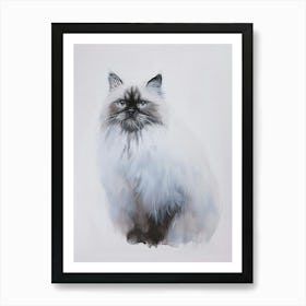 Himalayan Cat Painting 4 Art Print