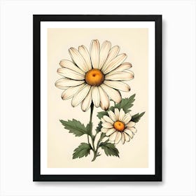 Daisy Flower 2 Art Print