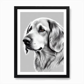 Flat Coated Retriever B&W Pencil Dog Art Print