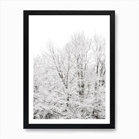 When Green Turns White Art Print