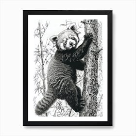Red Panda Cub Climbing A Tree Ink Illustration 4 Art Print