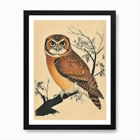 Brown Fish Owl Vintage Illustration 3 Art Print