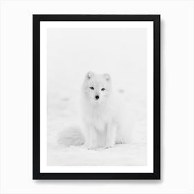 White Arctic Fox Art Print