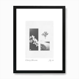 Cherry Blossom Botanical Collage 1 Art Print