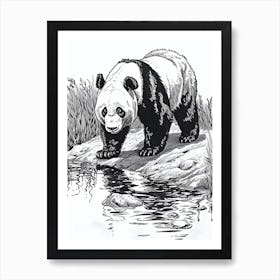 Giant Panda Standing On A Riverbank Ink Illustration 3 Art Print