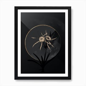 Shadowy Vintage Streambank Spiderlily Botanical on Black with Gold n.0052 Art Print