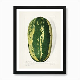 Watermelon 2 Art Print