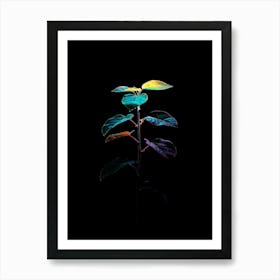 Plant In The Dark 29 Art Print