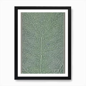 Burr Oak tree Vintage Botanical Art Print