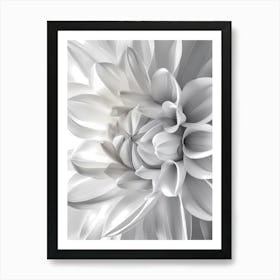 White Dahlia Flower Art Print